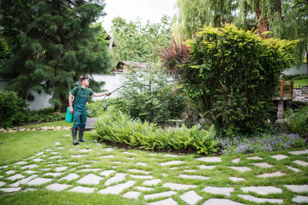 Best Landscape Design and Installation  in Abbotsford, WI