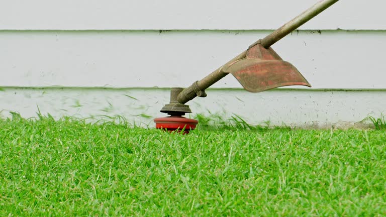 Best Stump Grinding and Removal  in Abbotsford, WI