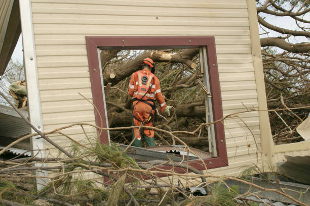 Best Leaf Removal  in Abbotsford, WI