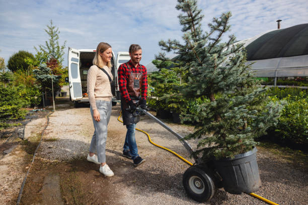Lawn Grading and Leveling in Abbotsford, WI